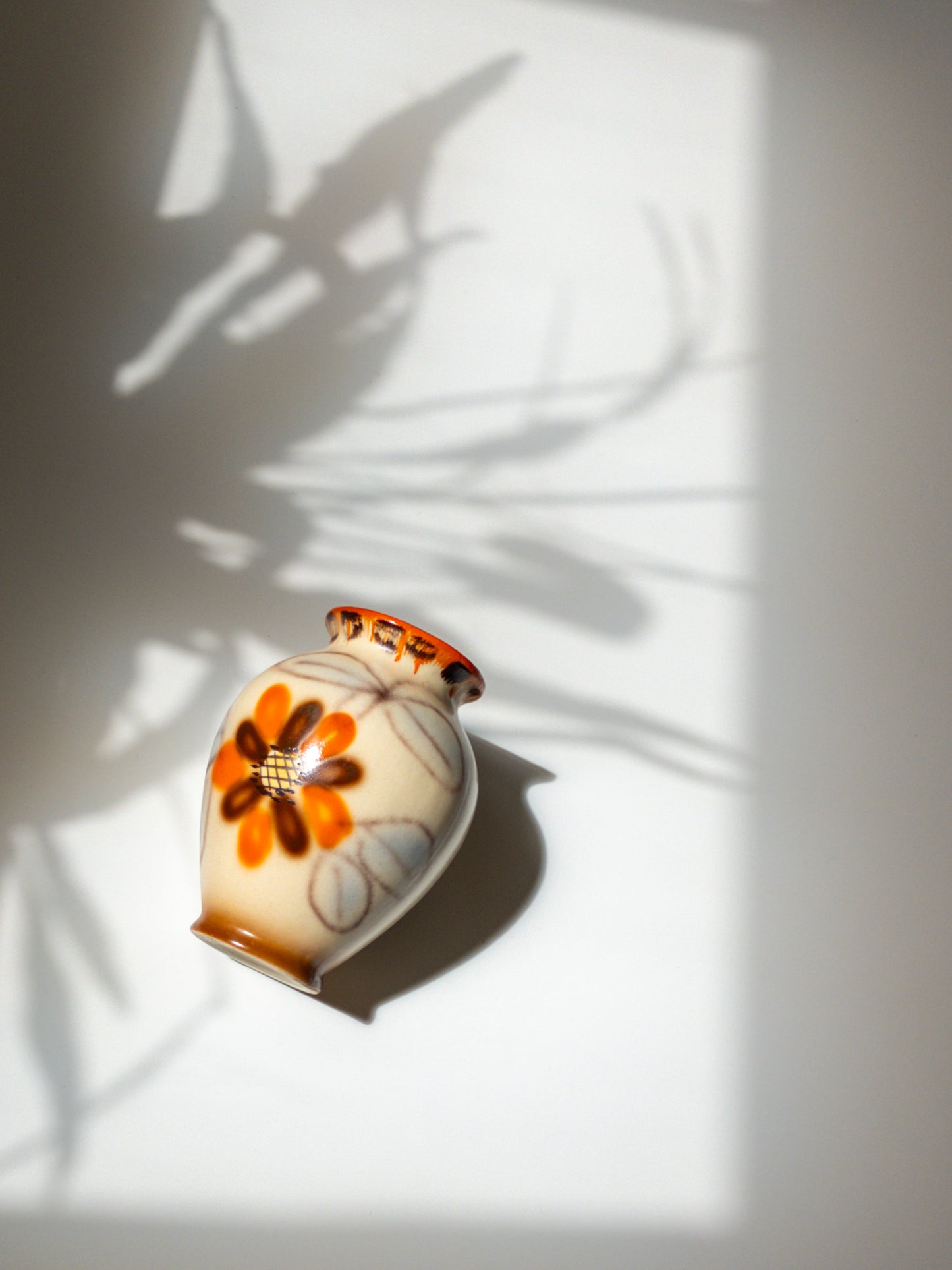 上部からの写真