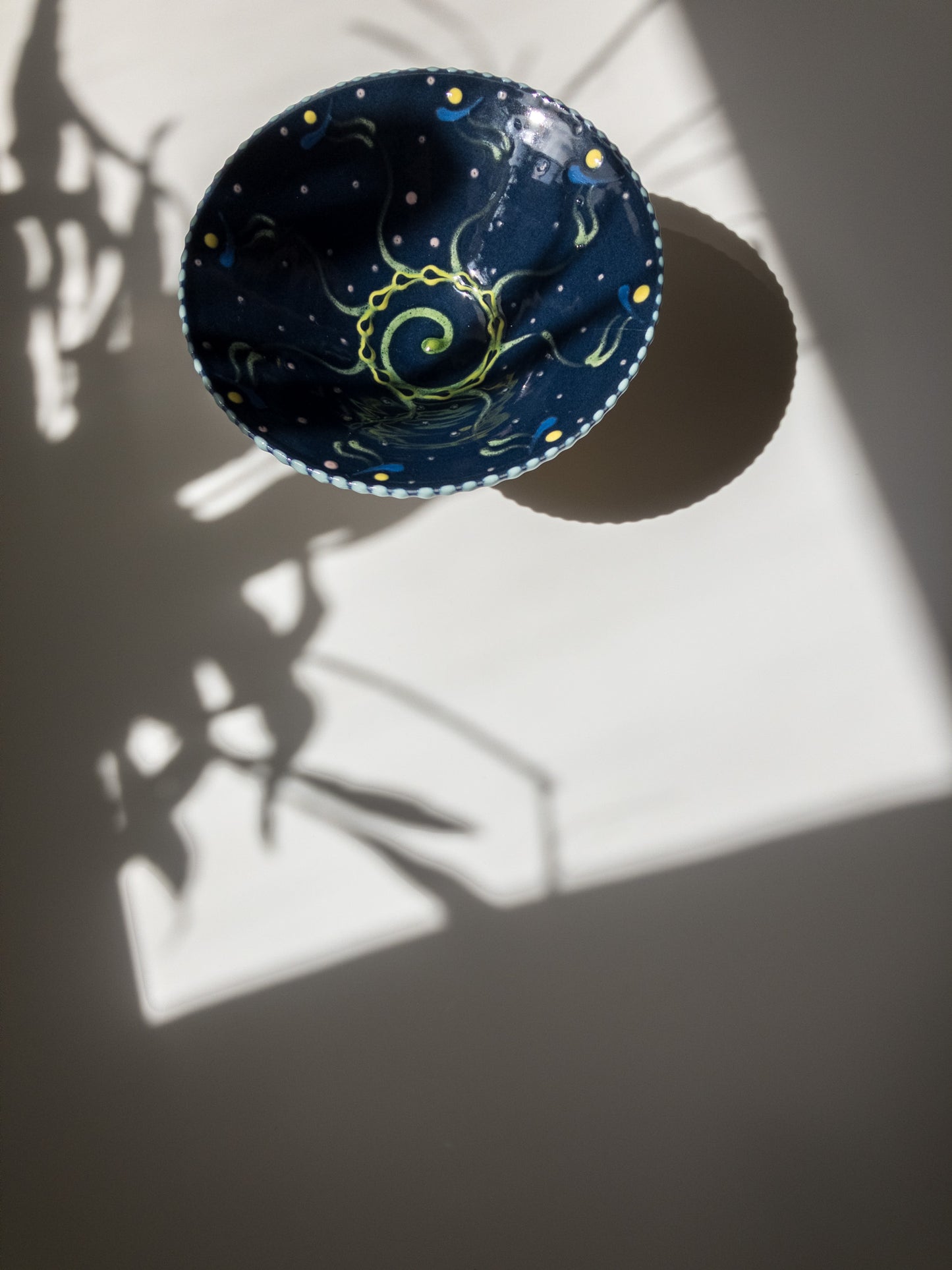 斜め上部からの写真