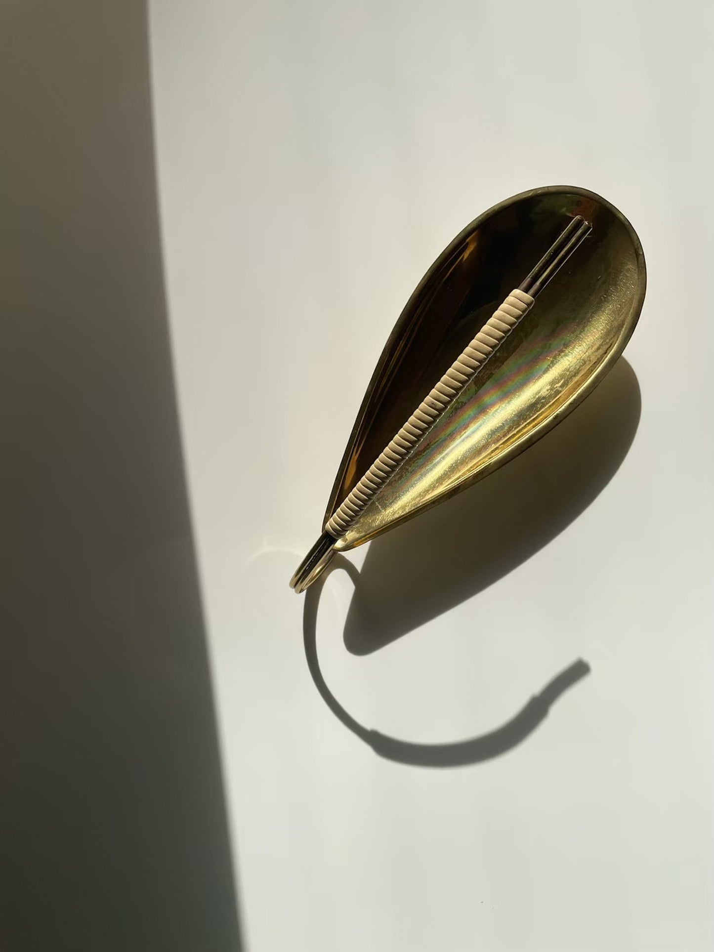 真上からの写真