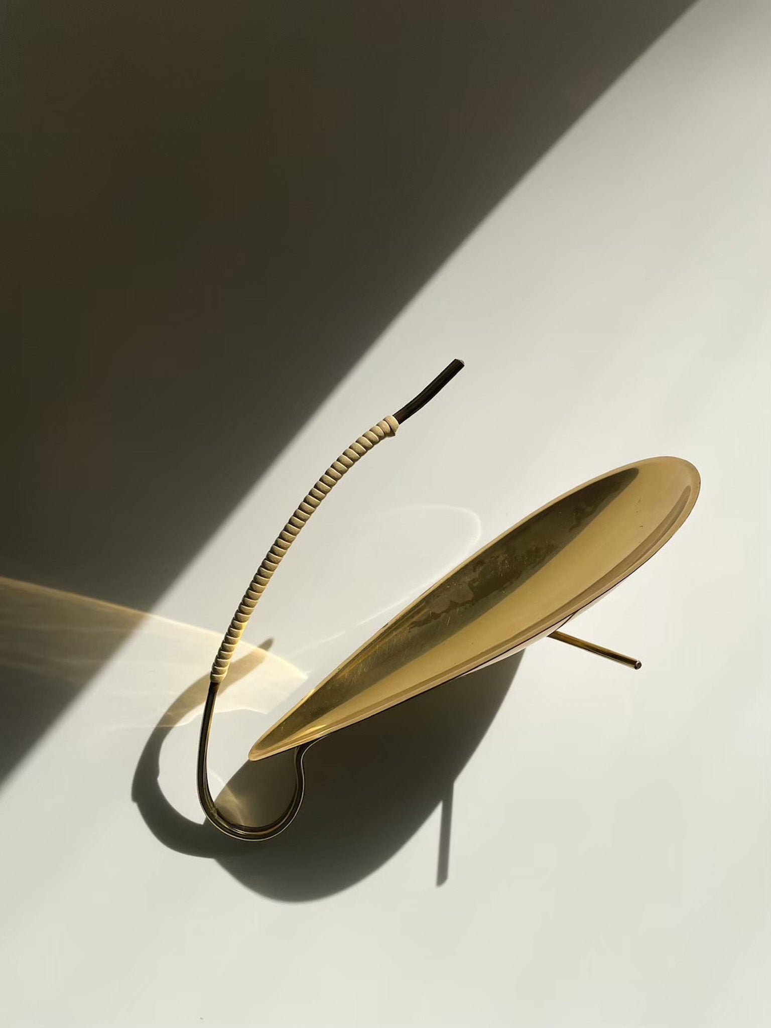 上部からの写真