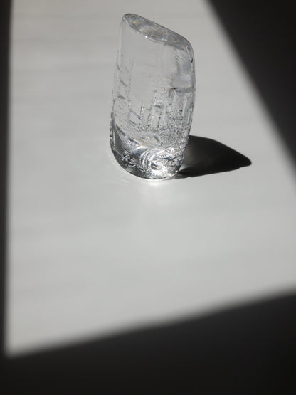 手前からの写真